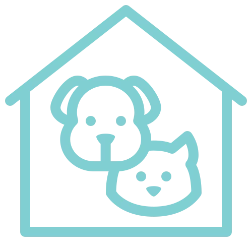 Img icon 2 (1)